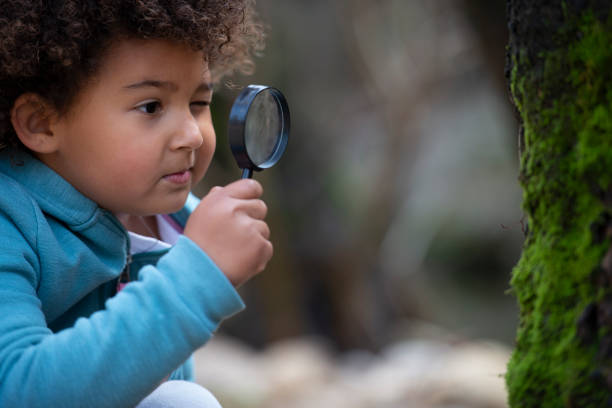 Little girl exploring the forest. stock photo