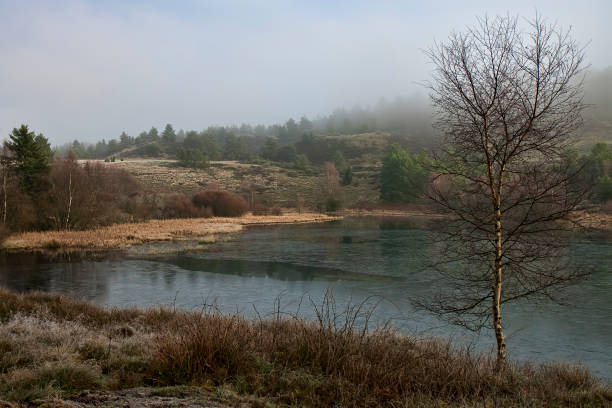istock Morning in the Moor 1129812533