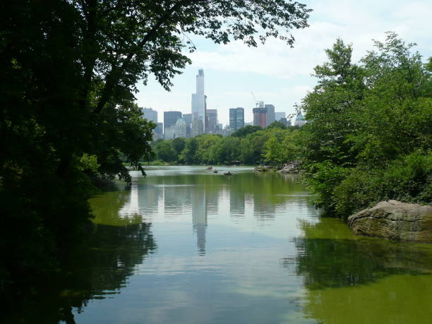 istock Looking towards the city in Central Park 1129817891