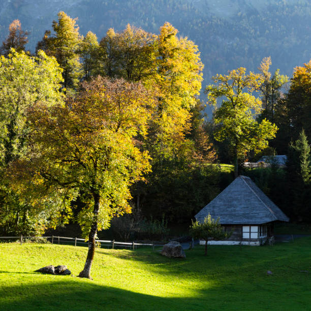 museo all'aperto ballenberg in svizzera - swiss culture chalet brienz european alps foto e immagini stock