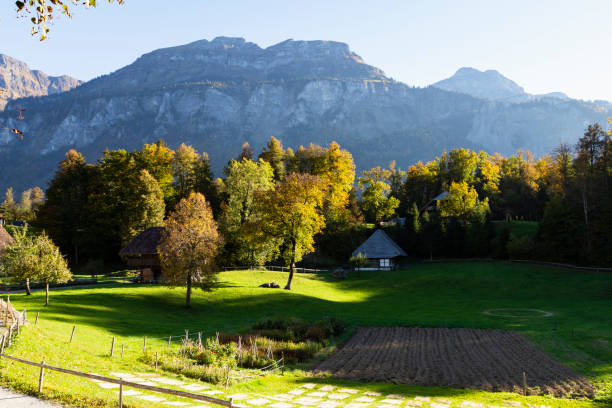 museo all'aperto ballenberg in svizzera - swiss culture chalet brienz european alps foto e immagini stock