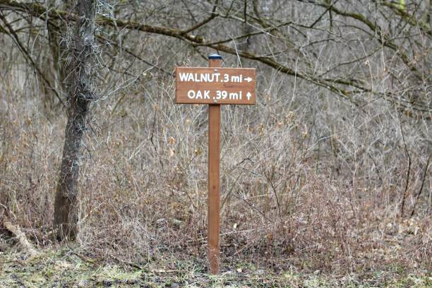 istock Brown Wooden Sign 1129818778
