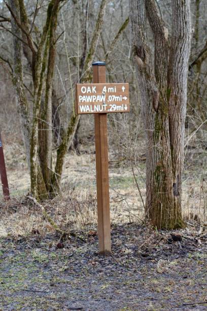 istock Brown Wooden Trail Sign 1129818779