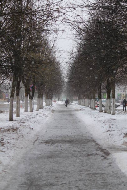 istock winter in city park 1129819643