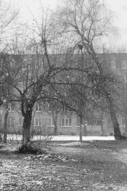 istock winter in city park 1129819707