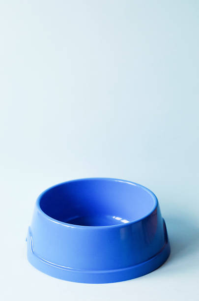 istock One empty pet blue bowl on an  blue  background. 1129820378