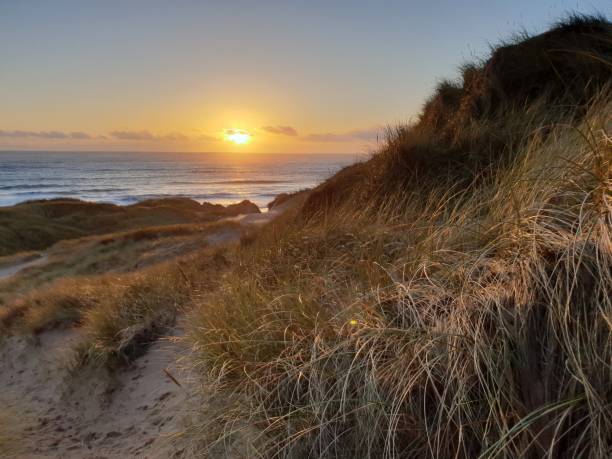 istock Sunrise over sea and dunes 1129821353