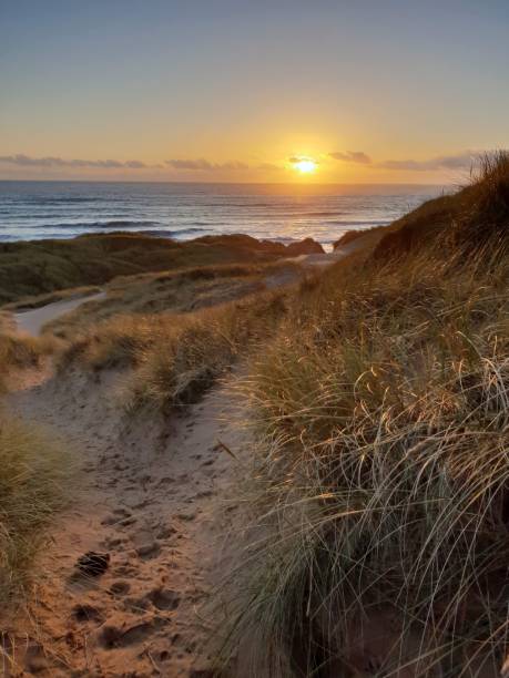 istock Sunrise over sea and dunes 1129821355