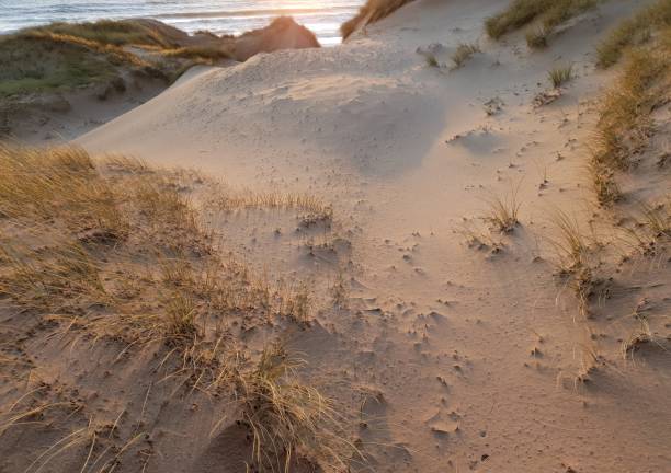 istock Sunrise over sea and dunes 1129821365