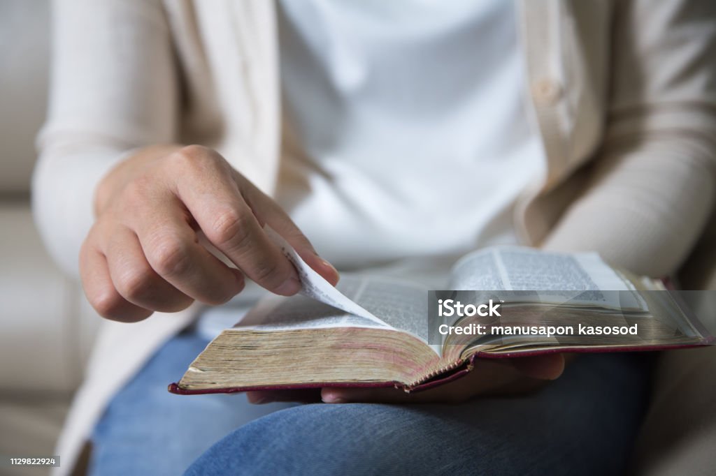 Women reading the Holy Bible,Reading a book. Bible Stock Photo