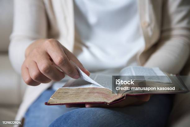 Women Reading The Holy Biblereading A Book Stock Photo - Download Image Now - Bible, One Woman Only, Women