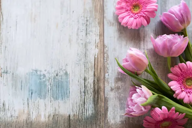 Photo of Pink flowers on old gray wood