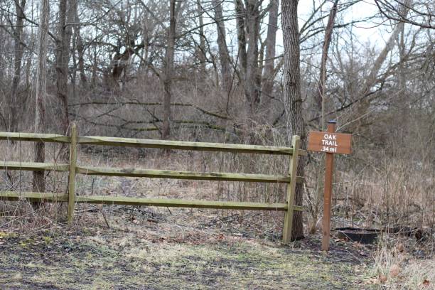 istock End of Hiking Trail 1129824911