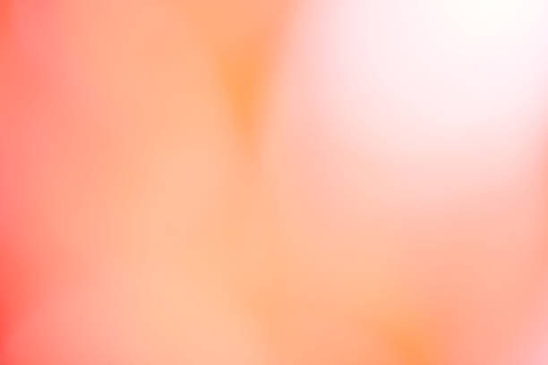 istock Pink sensual blurred bokeh background 1129827070