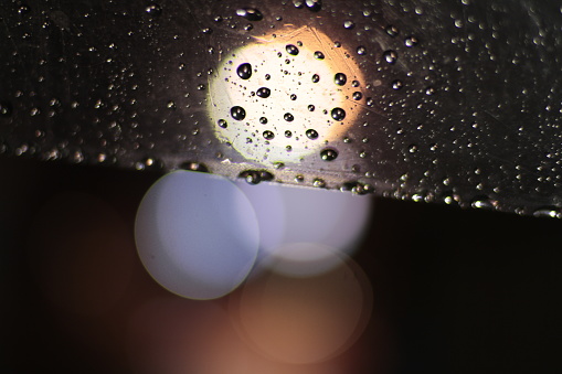Raindrops and town lights on transparent umbrellas.