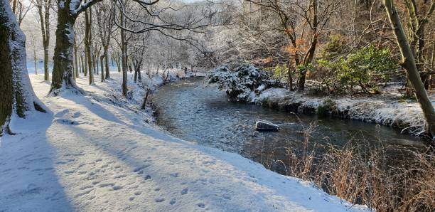 istock River, river bank and trees in wintr 1129829553