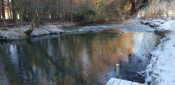River, river bank and trees in wintr