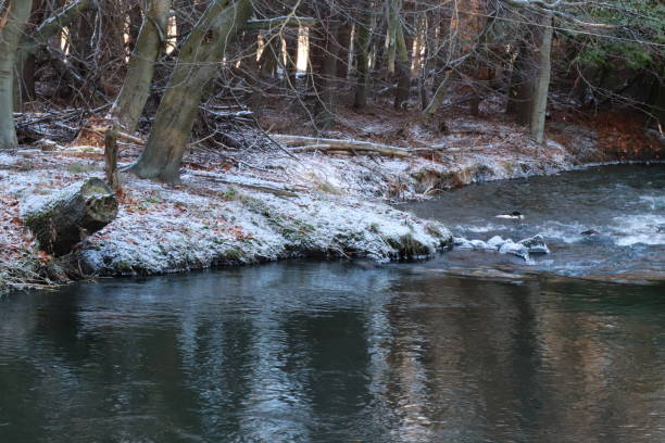 istock River, river bank and trees in wintr 1129829774
