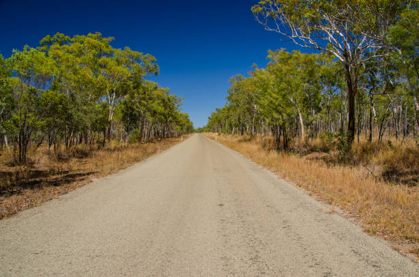 Street in the Outback, Qld., Australia Lonely road in Undara Volcanic National Park, Queensland, Australia. sonne stock pictures, royalty-free photos & images