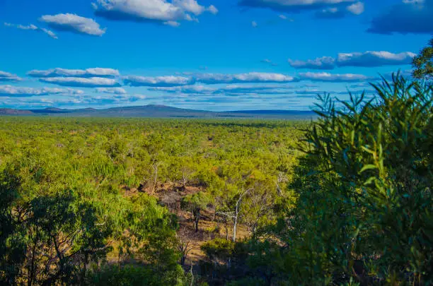 View of the bushland in Undara Volcanic National Park.