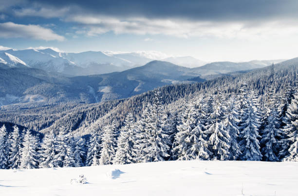 istock Beautiful winter landscape with snow covered trees 1129831742