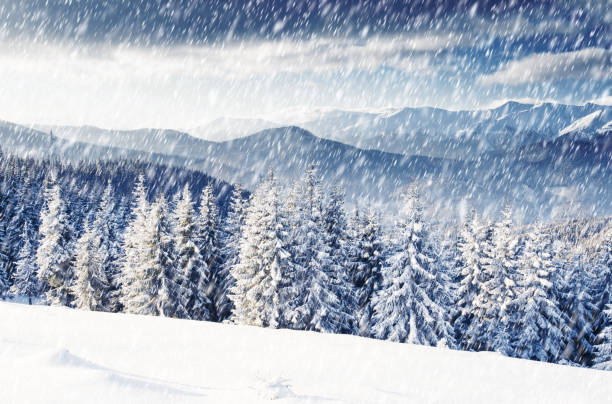 istock Beautiful winter landscape with snow covered trees 1129831765