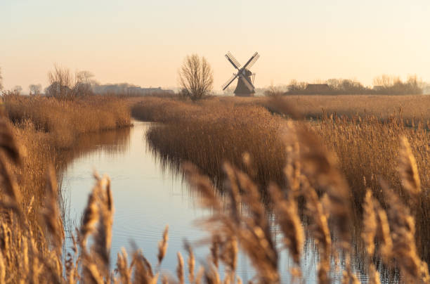 moulin à vent et reed - polder windmill space landscape photos et images de collection