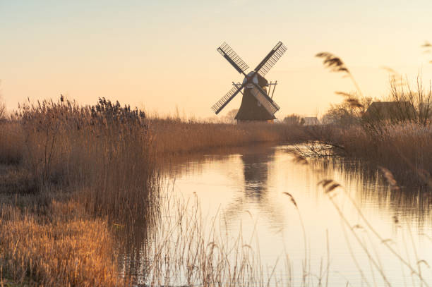 windmill and reed - polder windmill space landscape imagens e fotografias de stock