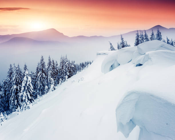 istock Fantastic winter landscape. Carpathian, Ukraine, Europe. 1129833687
