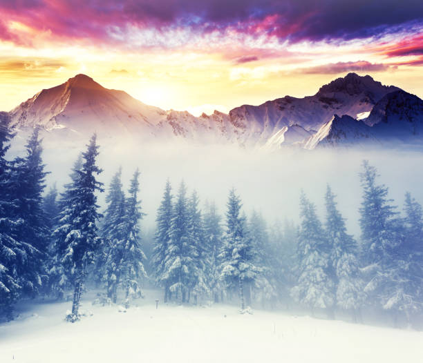 istock Fantastic evening winter landscape. Carpathian, Ukraine, Europe. 1129834488