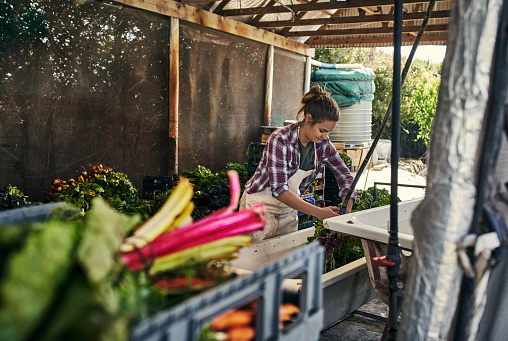 Shot of a young woman rinsing off freshly picked vegetables on a farm