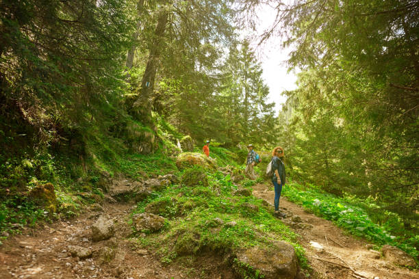 istock adventure with hiking friends 1129836841