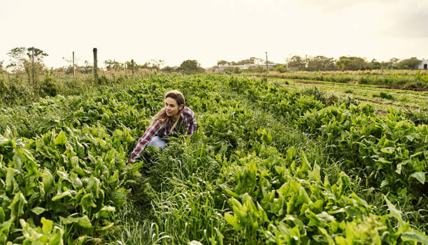 istock Grown with tender loving care 1129836943