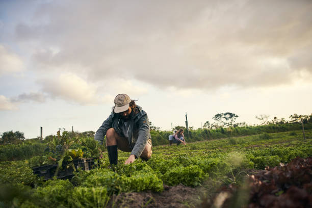 istock If you aren’t going green what are you doing? 1129836947