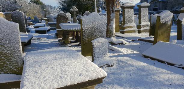 Snow-covered cemetery
