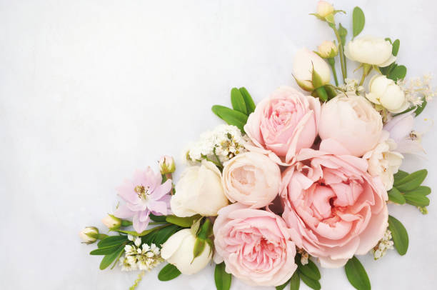 istock Summer blossoming delicate rose and blooming flowers 1129838614