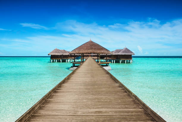istock Hotel with landing stage at the seychelles,mauritius or maldives 1129846182