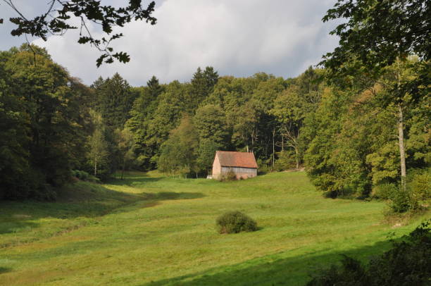 istock Hut in the Odenwald, Germany 1129846203