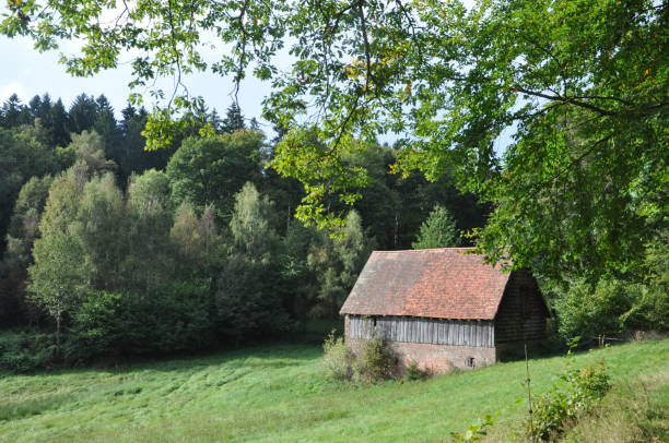 istock Hut in the Odenwald, Germany 1129846245