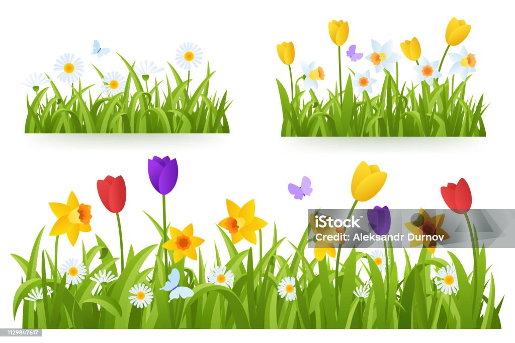 Spring grass border with early spring flowers and butterfly isolated on white background. Illustration of colored tulips, daffodils and daisies. Garden bed. Springtime design element. Vector eps 10. Flower stock vector