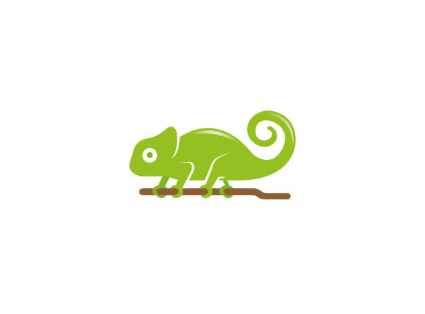 Creative Chameleon Creative Chameleon chameleon icon stock illustrations