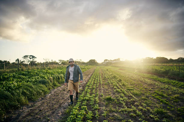 Shot of a young man working on a farm