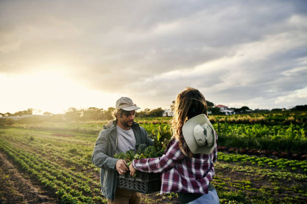 istock The goodness of organic 1129849076