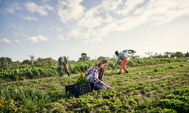 istock The hard worker receives a bountiful harvest 1129849084