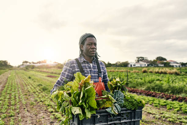 istock He supports organic farming 1129849085