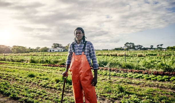 istock The best produce is organic produce 1129849088