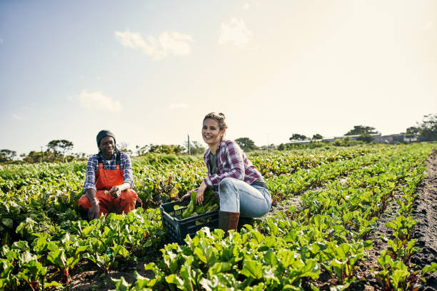 istock Grow organic for goodness sake 1129849117