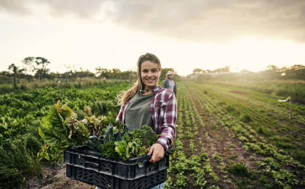 no te olvides de apoyar su agricultores orgánicos locales - farm farmer vegetable field fotografías e imágenes de stock