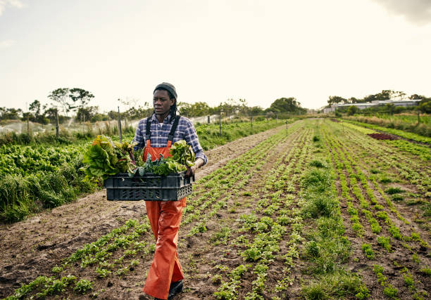 istock Show the earth some love and go organic 1129849147