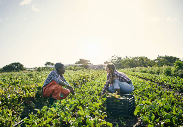istock Organic is good way to grow 1129849152